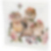 Салфетки бумажные lefard совушки 33*33см, 3слоя, 20шт