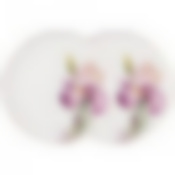 Набор тарелок обеденных lefard Iris 2 шт. 23 см 