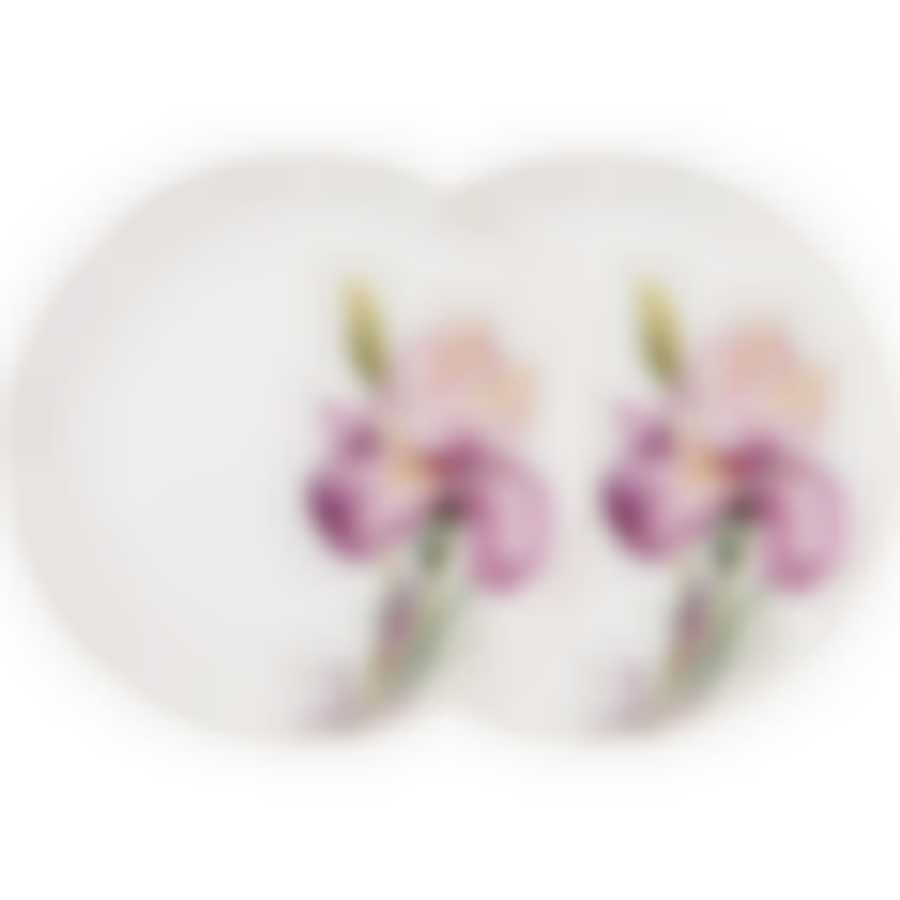 Набор тарелок обеденных lefard Iris 2 шт. 23 см 