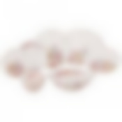 Сервиз обеденный lefard Дворцовый парк 23 предмета 