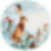 Тарелка закусочная lefard Лесная сказка заяц 20,5 см 