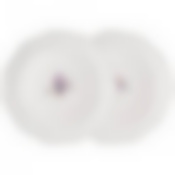 Набор тарелок обеденных lefard Прованс ажур 2 шт. 26 см 