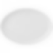Тарелка овальная lefard herbal 25,4*17,5см