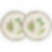 Набор тарелок десертных lefard Секретные ингредиенты 2 шт. 16 см 