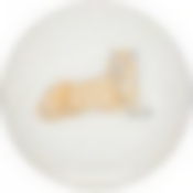 Тарелкa закусочная  lefard  Top style   20,5 см 