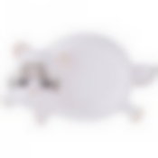 Подставка для чайных пакетиков Тигренок 12*7*2 см 