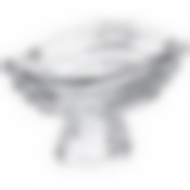 Фруктовница на ножке Wave 30,5*21см. высота=18,5см.