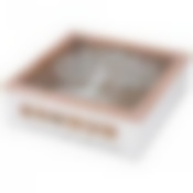 ШКАТУЛКА ДЛЯ ЧАЯ КОЛЛЕКЦИЯ "HOME & FAMILY" 24*24*8 СМ