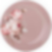 Тарелка обеденная lefard мэрибель, 25см 