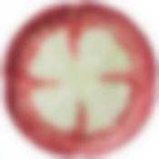 Тарелка Капуста red диаметр=24 см.