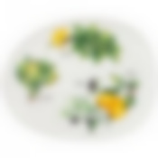 Тарелка обеденная lefard Секретные ингредиенты 27,5*22,5*2,5 см 