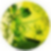 Тортовница 30 см вращающееся стекло LR