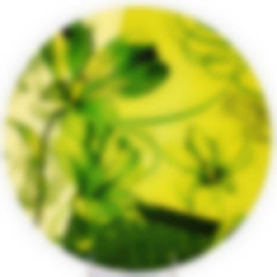 Тортовница 30 см вращающееся стекло LR