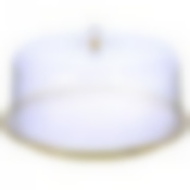 Тортовница 32см.с пласт.крышкой LR