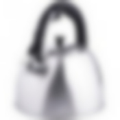 Чайник 3 л нерж/сталь со свистком MB