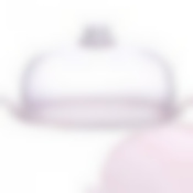 Тортовница 25,5см.с пласт.крышкой LR