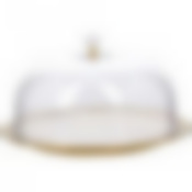 Тортовница 30 см.с пласт.крышкой LR