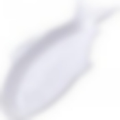 Блюдо сервировочное для рыбы LR фарфор