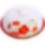 Блюдо д/блинов 23,8х11см Маки LR