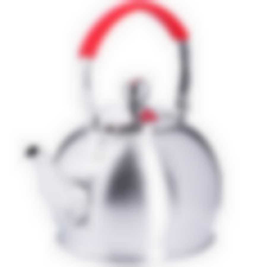 Заварочный чайник матовый 1 литр MB