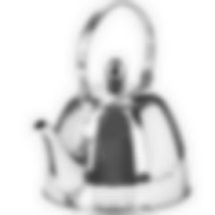 Заварочный чайник 1 литр MB