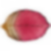 Блюдо Leaf bordeaux 21см