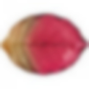 Блюдо Leaf bordeaux 28см