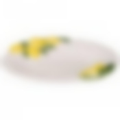 Блюдо овальное Лимоны 30х38см