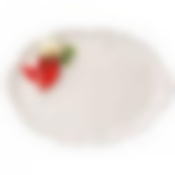 Блюдо Перец и чеснок овальное 45х32