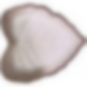 Блюдо грубокое Eden silver 16см