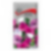 Лаватера Смесь окрасок 310547