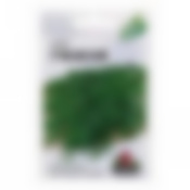 Укроп Грибовский 560262