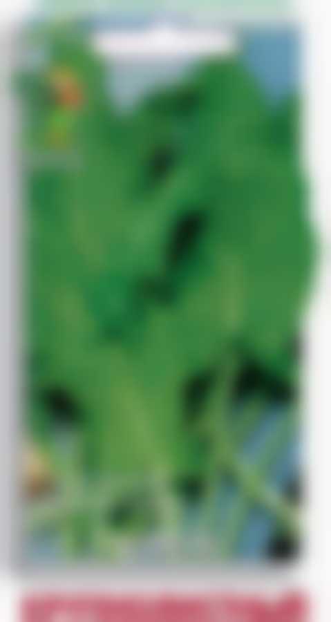 Щавель Крупнолистный 807905