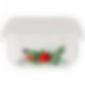 Салатник с пластик. крышкой lefard Секретные ингредиенты квадратный 16*7см 800мл 