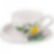 Чайная пара lefard Секретные ингредиенты 220мл 