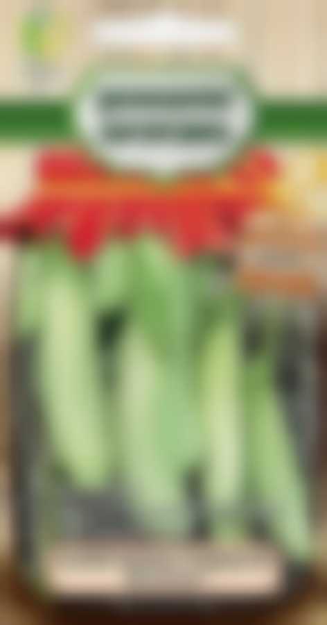 Баклажан Изумрудные подвески (А) 820844