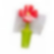 Пробка для винной бутыли