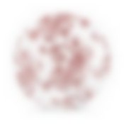 Тарелка обеденная АУРЕЛИЯ 25см