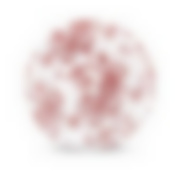 Тарелка суповая АУРЕЛИЯ 21.5см