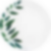 Тарелка обеденная ДИВАЛИ ЛИВЗ ДИЛАЙТ 27см