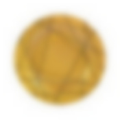 Тарелка обеденная DELNICE GOLD 25см