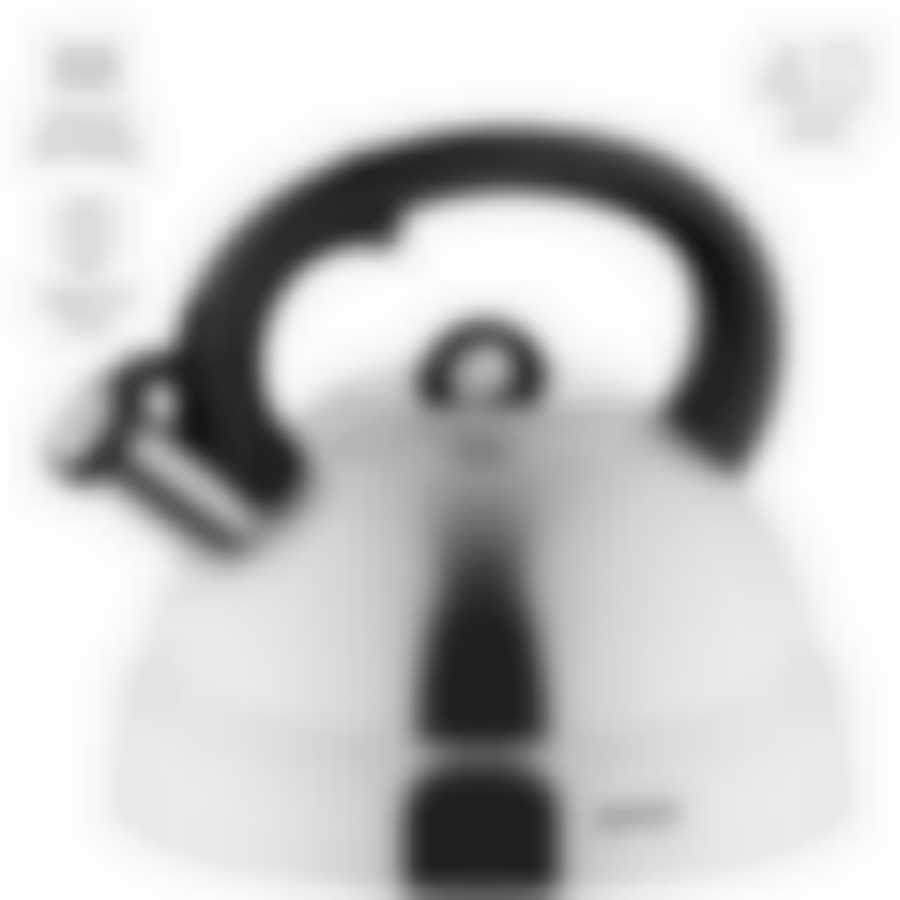 Чайник со свистком, 4 л, NADOBA, серия BERNA