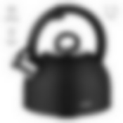 Чайник со свистком, 2,5 л, NADOBA, серия ANESA