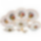 Столовый сервиз на 6 персон 25 пр. Мадонна