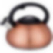 Чайник agness со свистком 3 л с капсульны 5-ти ступенчатым дном, индукция