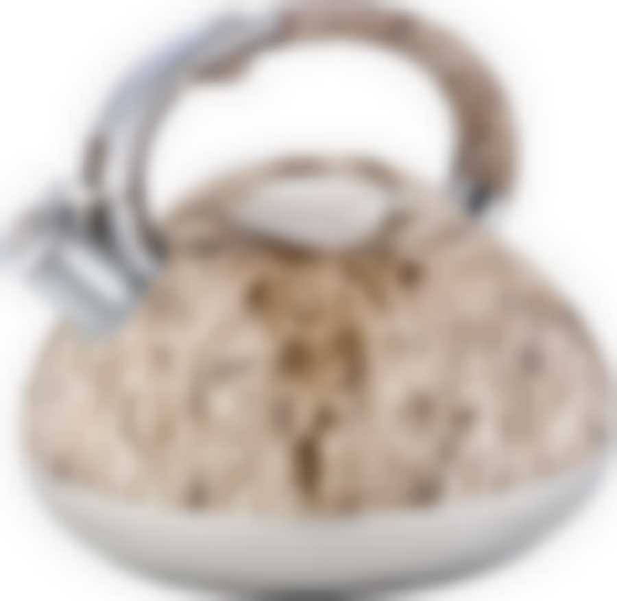 Чайник со свистком, 3,0л.