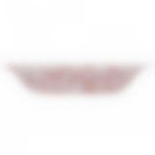 Тарелка суповая ALVIS RED 21см