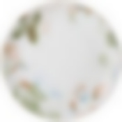Тарелка обеденная bronco Aquarelle 27 см 