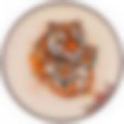 Тарелка Tiger amour 21*21 см. высота=2,5 см. 