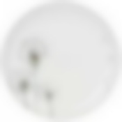 Тарелка обеденная agness dandelion 24см 